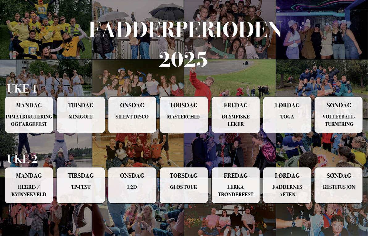Bilde over opplegget i fadderperioden
